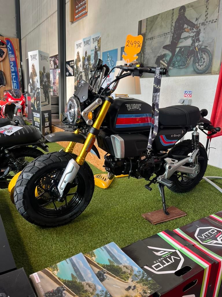 Bluroc X Bongo 50 en 125 cc, Ophalen, Nieuw, 49 cc, Klasse B (45 km/u)