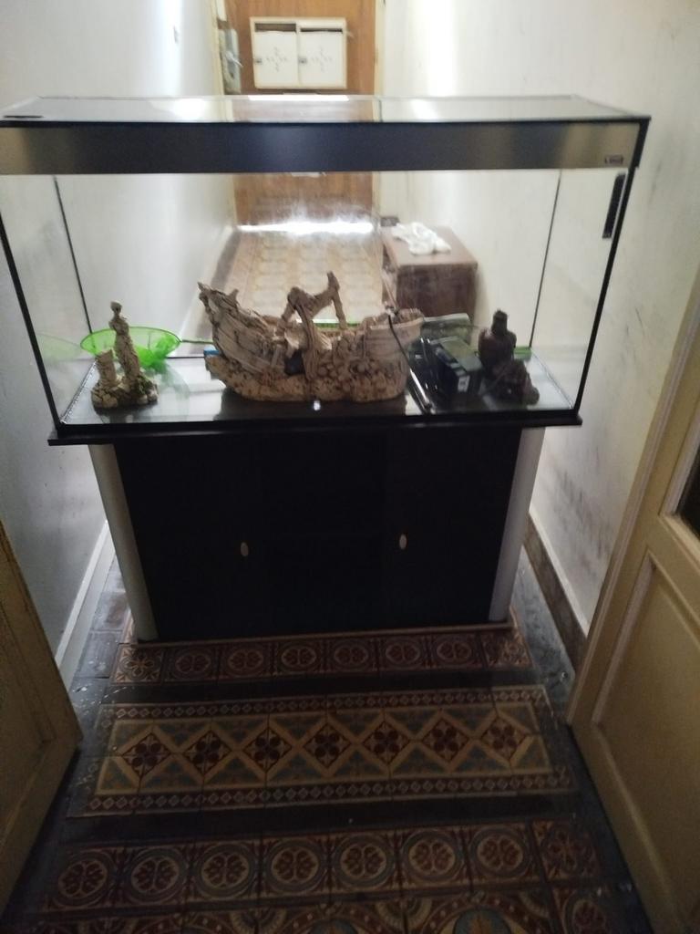 À vendre : Aquarium 23L avec étagère – 150€, Enlèvement, Utilisé, Aquarium vide