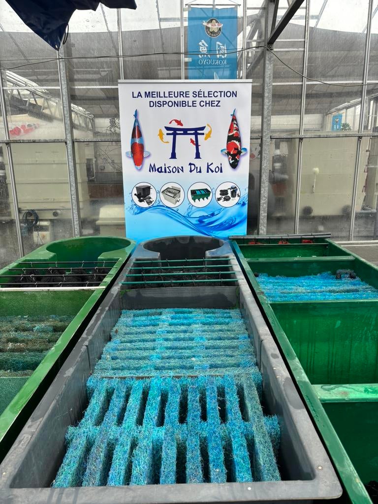 Filtre de basdin, Enlèvement, Comme neuf