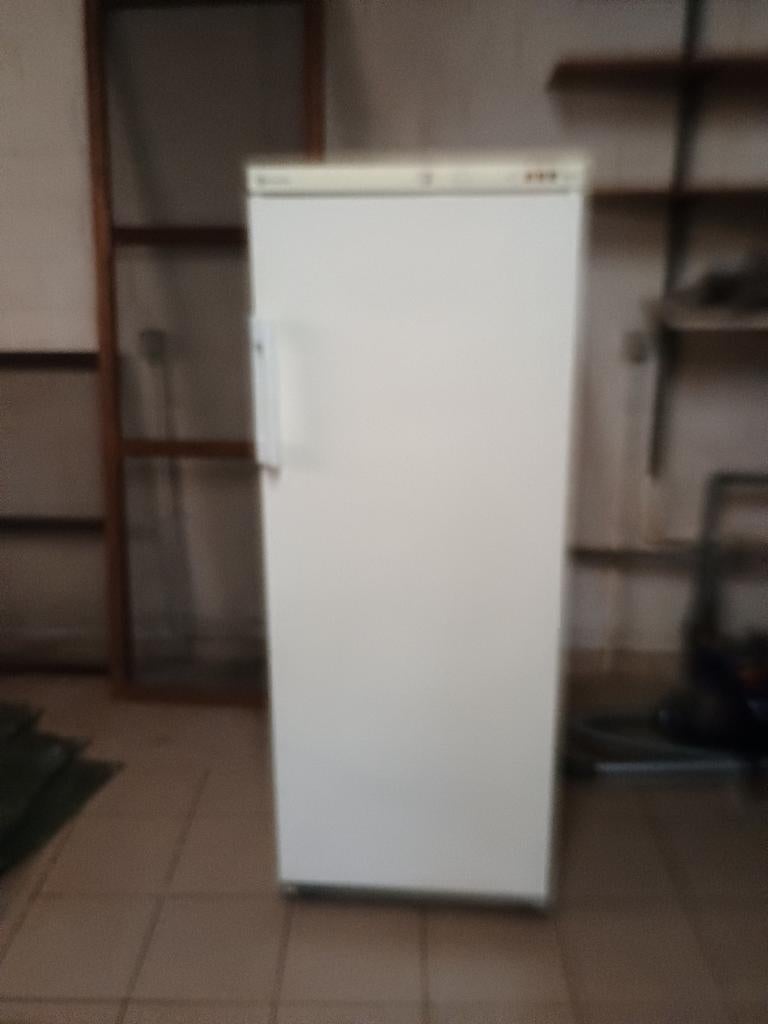 Bauknecht staande vriezer, Ophalen