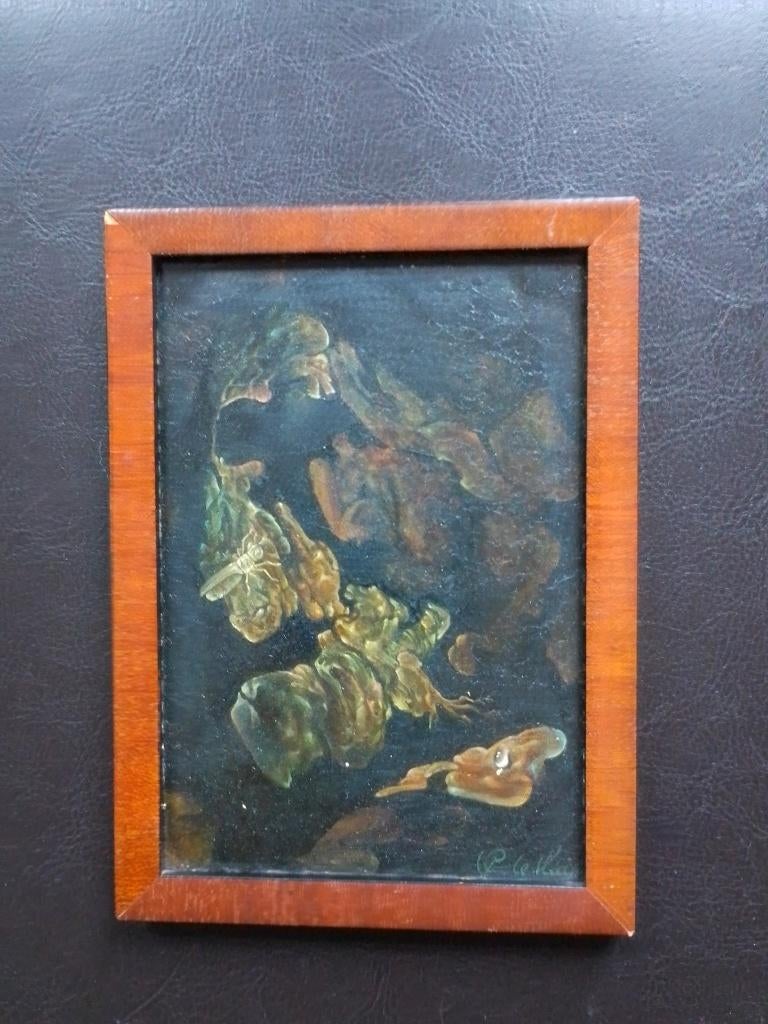 Cornelis Le Mair  2  Vegetatie met insect en waterdruppel, Antiek en Kunst, Kunst | Schilderijen | Klassiek, Verzenden