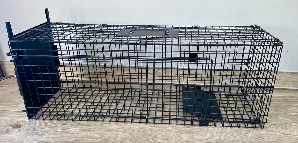 NIEUWE Trap Cage voor levende dieren, Dieren en Toebehoren, Hondenhokken, Nieuw, Minder dan 65 cm, 75 tot 110 cm, Ophalen