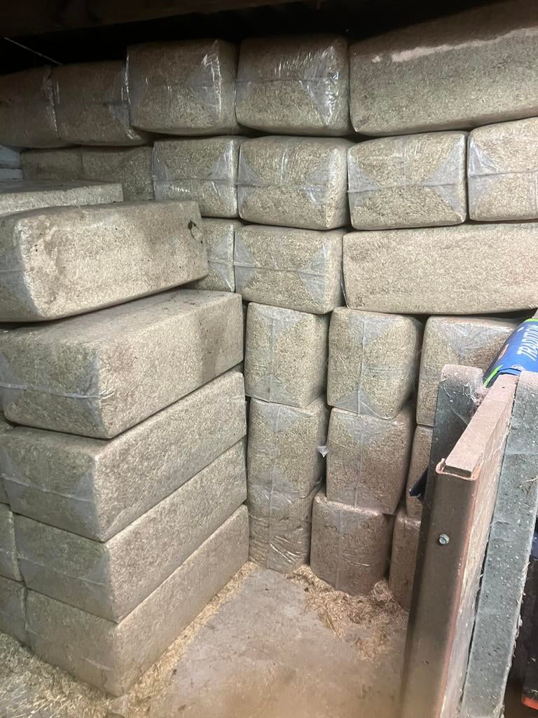 Vlaslemen, Dieren en Toebehoren, Paarden