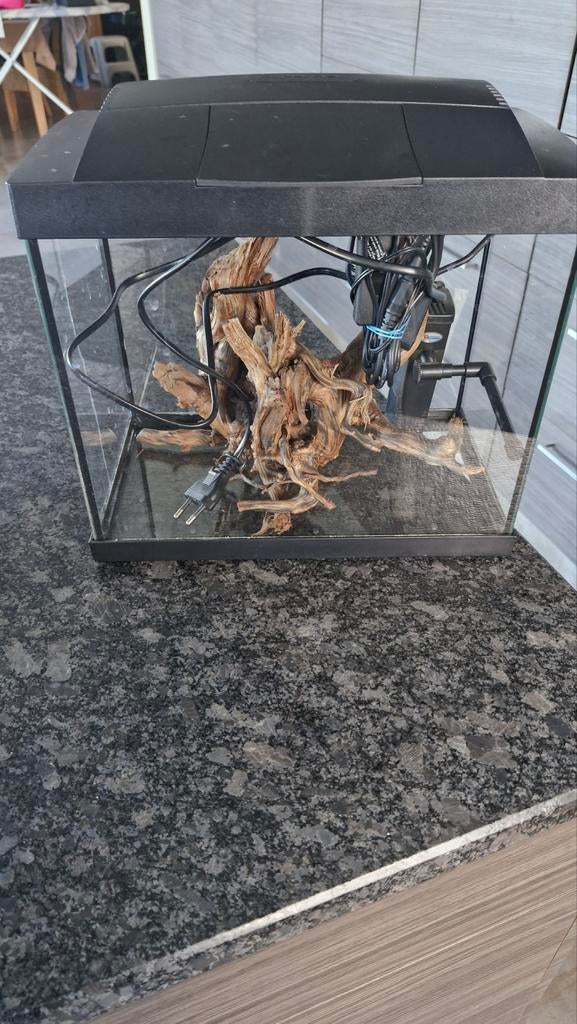 Aquarium, Dieren en Toebehoren, Ophalen of Verzenden