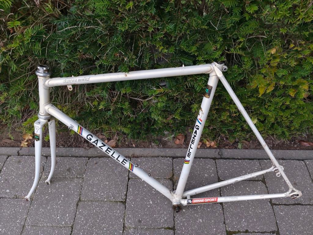 Origineel koersframe Gazelle AB, Fietsen en Brommers, Ophalen
