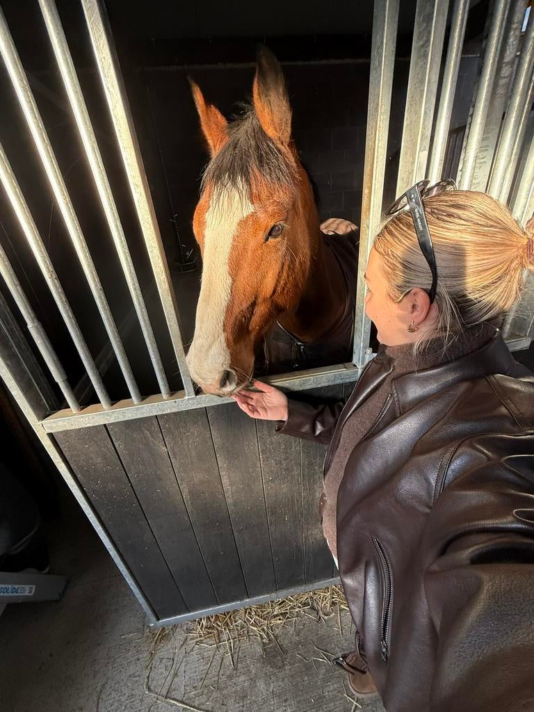 Recreatieve ruin te koop, Ruin, Springpaard