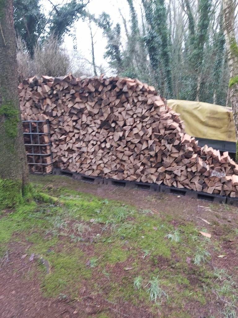 brandhout eik en beuk, Jardin & Terrasse, Bois de chauffage, Bûches, Chêne, 6 m³ ou plus, Enlèvement