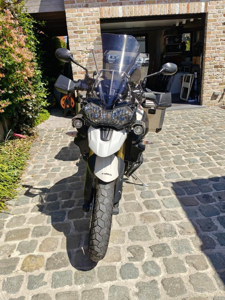 Triumph Tiger 800, Motoren, Motorrijbewijs A, 3 cilinders, Particulier, Meer dan 35 kW