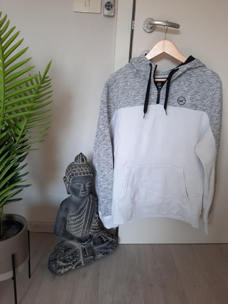 Sweat à capuche Hollister taille L, Vêtements | Hommes, Enlèvement ou Envoi, Comme neuf, Taille 52/54 (L)