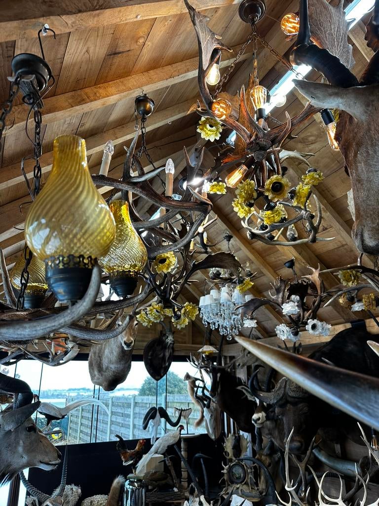 Gewei lusters hertengewei kroonluchters lampen, Enlèvement