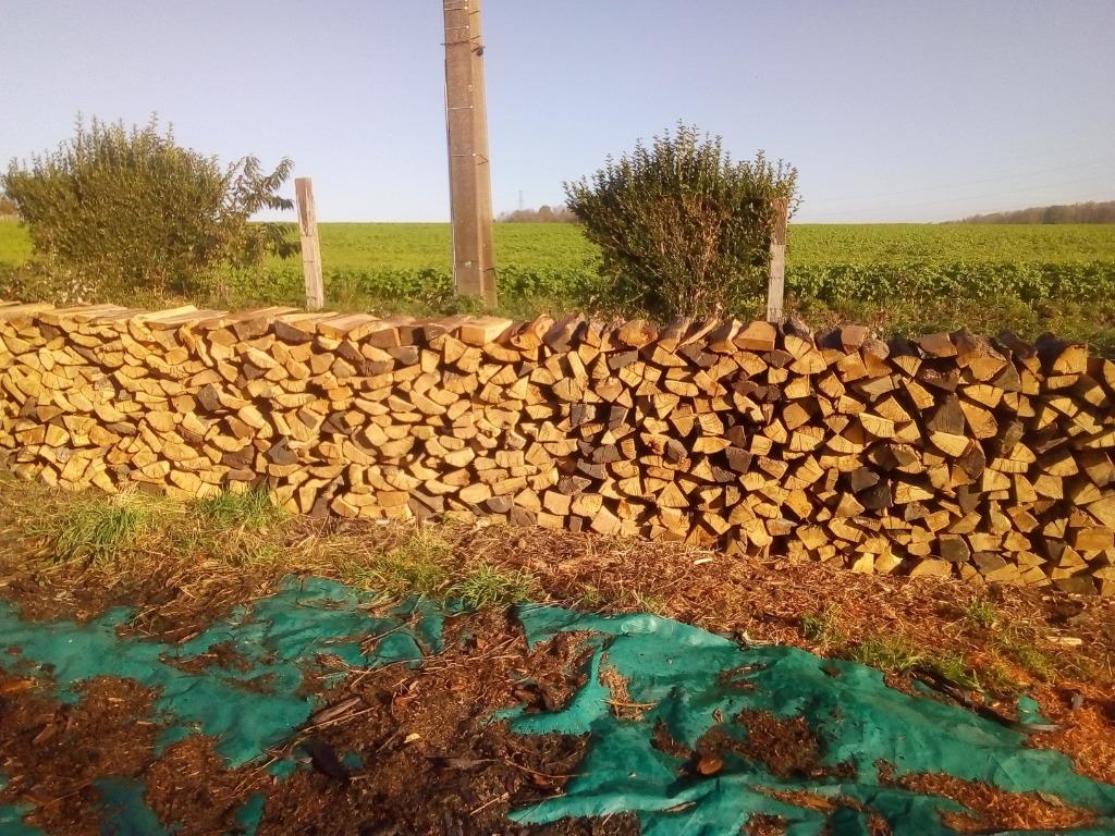 BOIS DE CHAUFFAGE SEC DE QUALITE TOUTE L'ANNEE!!!, Enlèvement ou Envoi, Utilisé, Autres types, Bois dur