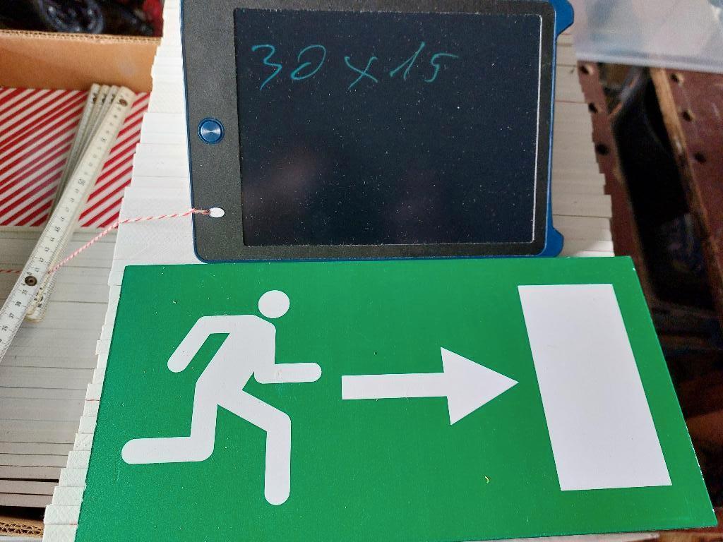 nooduitgang pictogram, Ophalen of Verzenden, Zo goed als nieuw