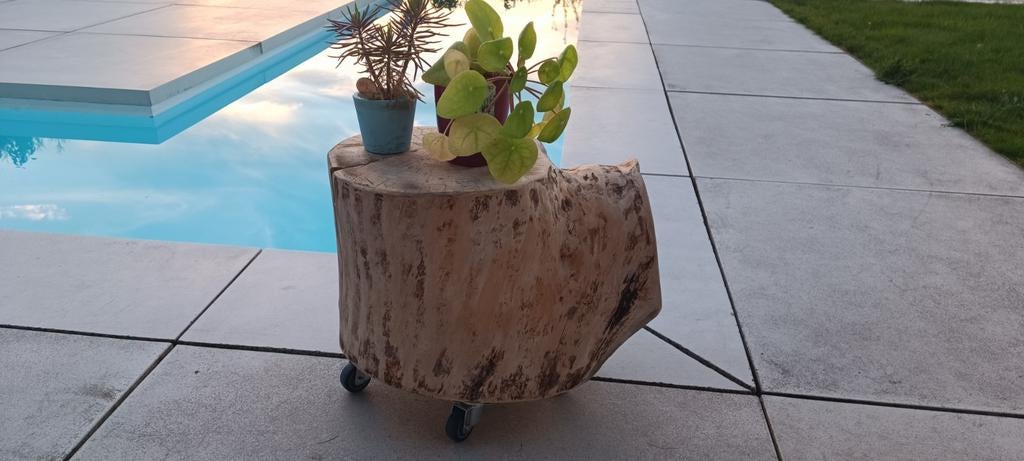 Boomstronk voor plantjes, Ophalen