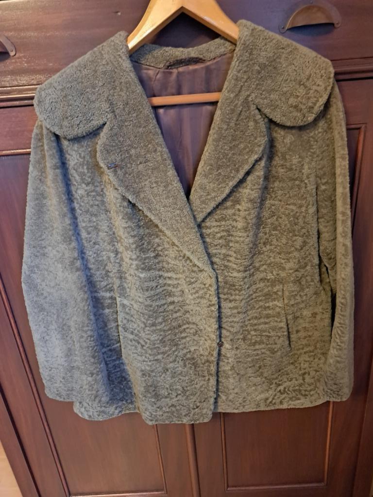 Jas, Kleding | Dames, Ophalen of Verzenden, Gedragen, Maat 36 (S), Bruin