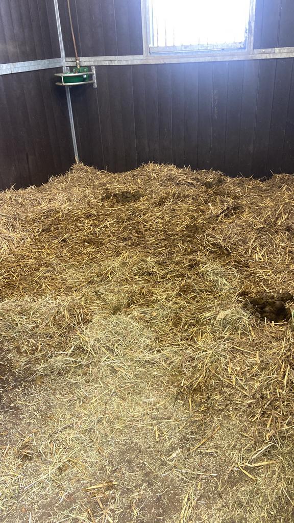 Gratis paardenmest, Tuin en Terras, Ophalen, Mest