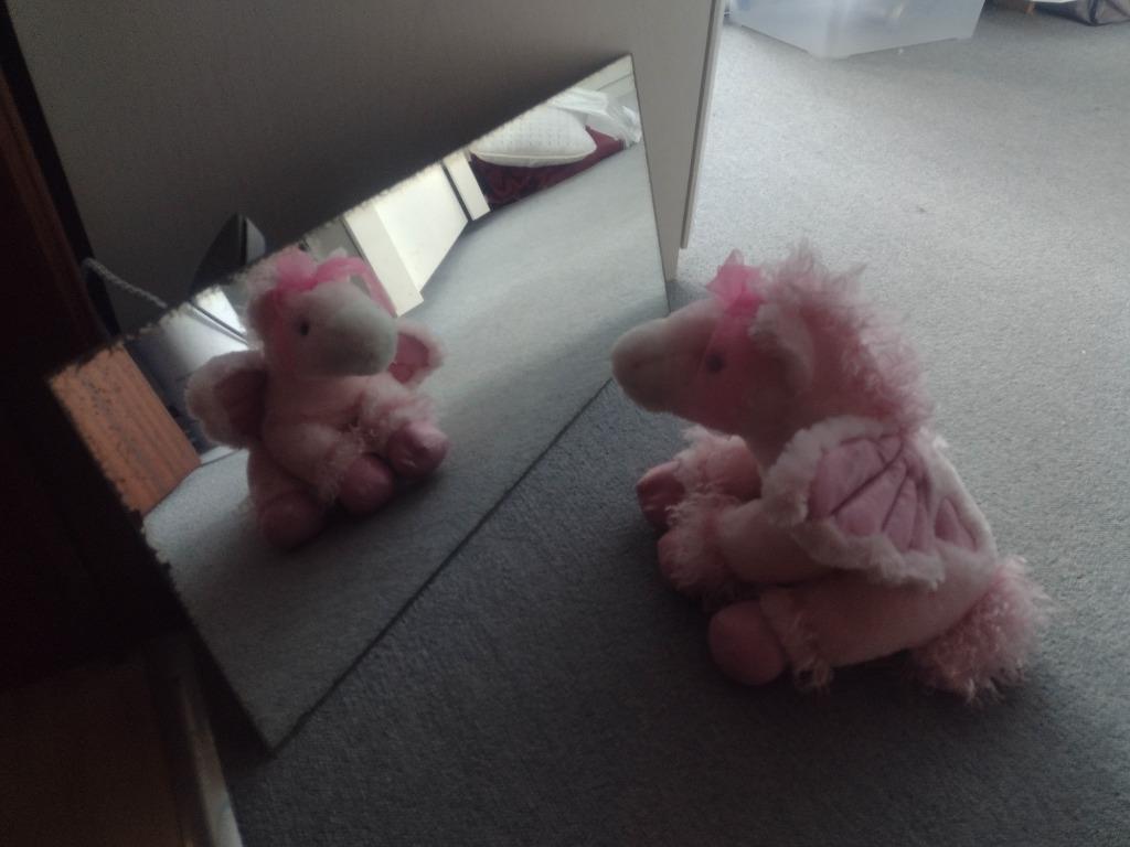 Miroir (plutôt pour ambiance Halloween / Haunted Mansion :D), Enlèvement ou Envoi, Moins de 100 cm, Utilisé, Rectangulaire