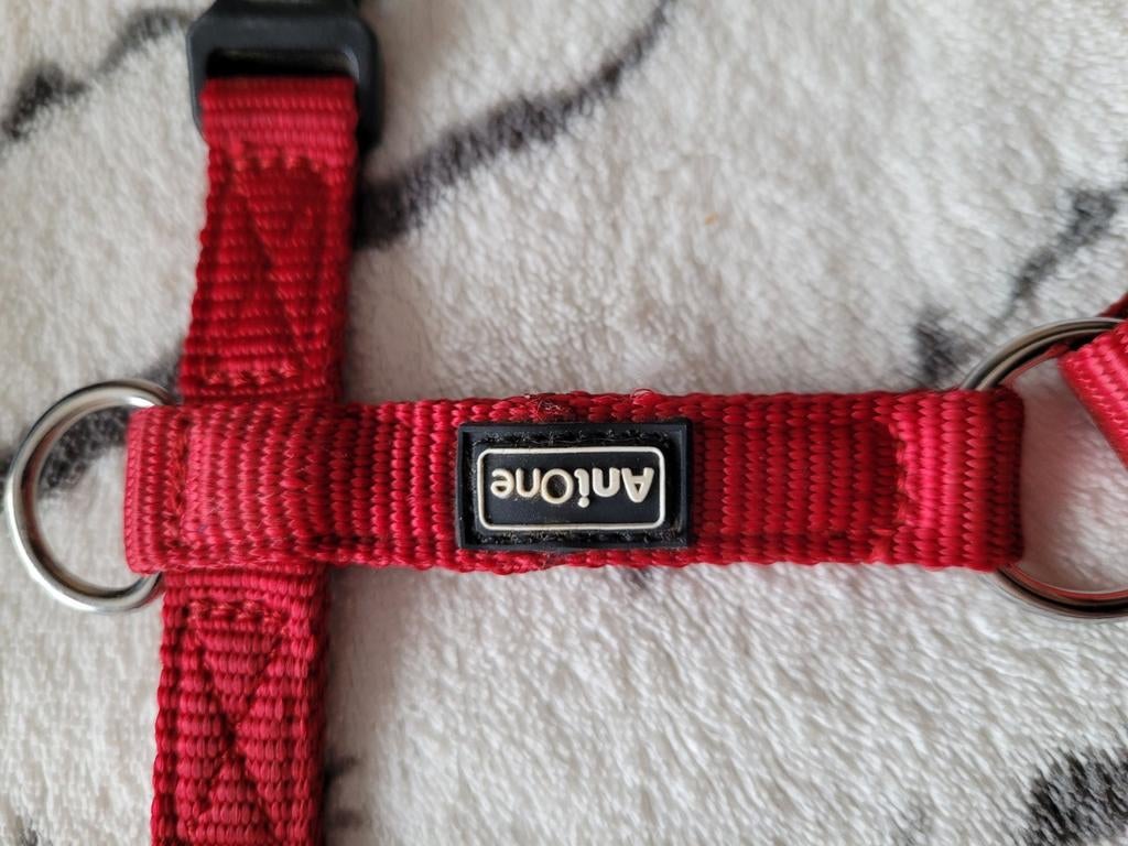 2 honden harnasjes, Animaux & Accessoires, Enlèvement ou Envoi