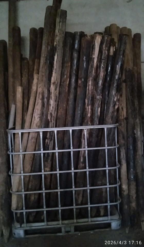 Bois Tuin, Enlèvement