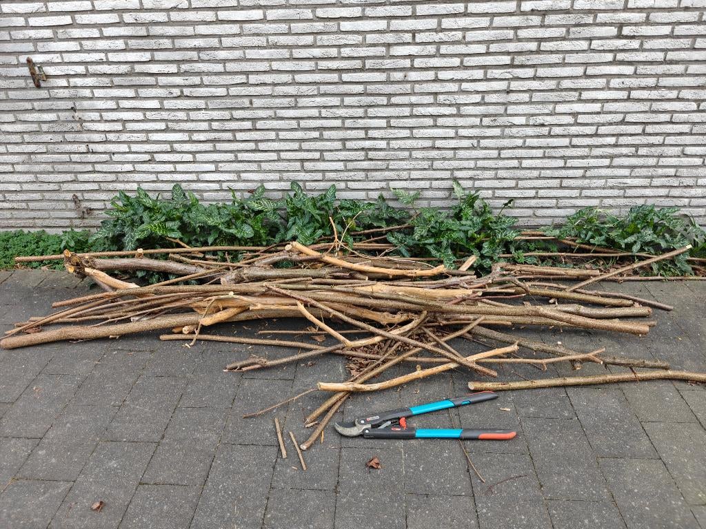 Bois de chauffage gratuit, Jardin & Terrasse, Bois de chauffage, Enlèvement, Autres essences de bois, Branches