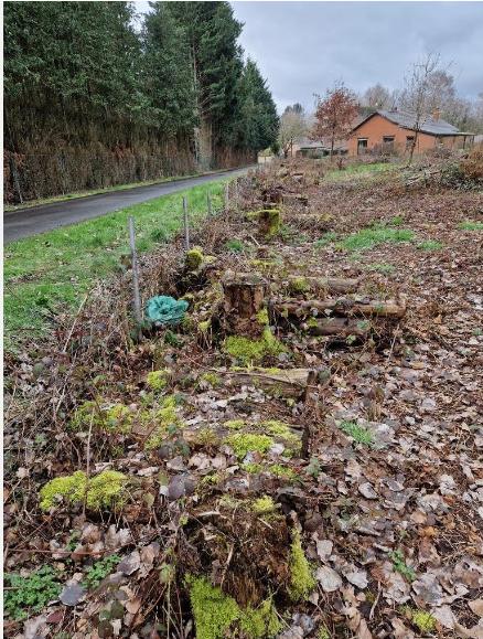 bois de chauffage, Enlèvement, Utilisé