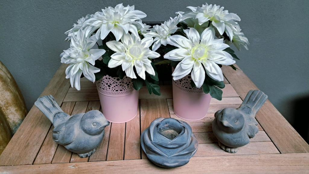 Prachtig set voor op plantenrek woj zenden op met bpost !, Ophalen of Verzenden