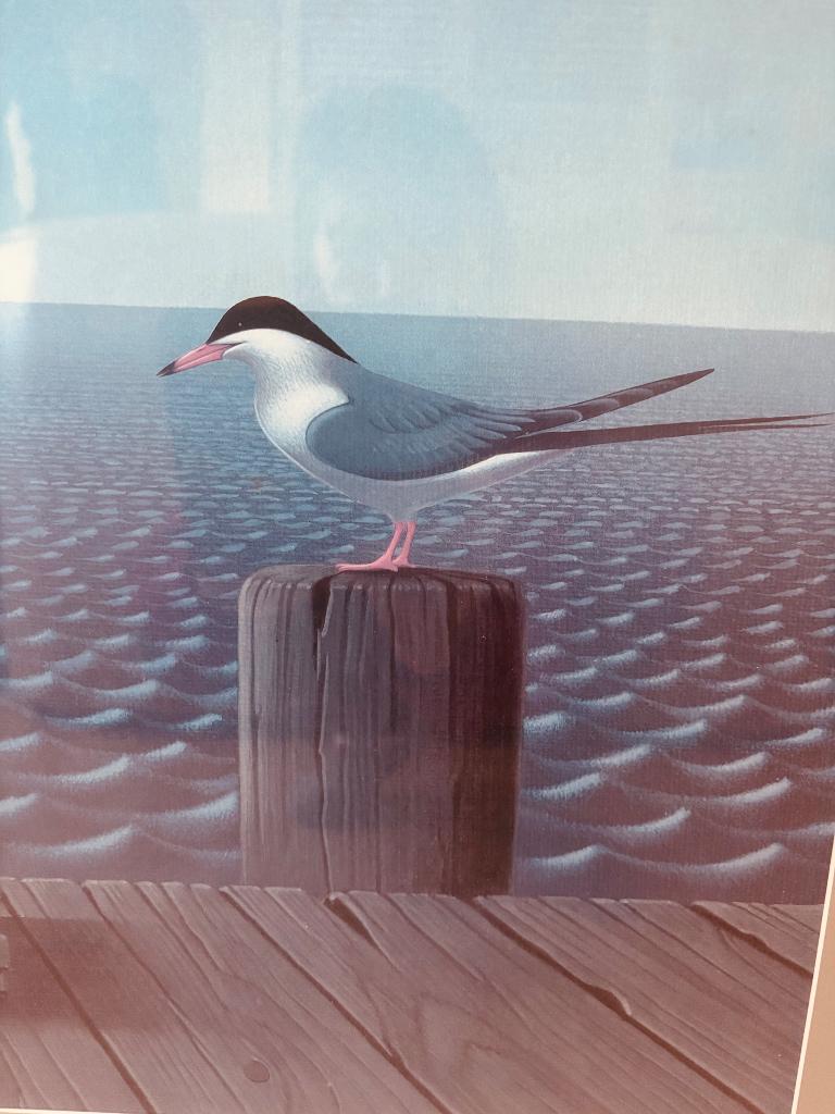 Tableau, Antiquités & Art, Enlèvement