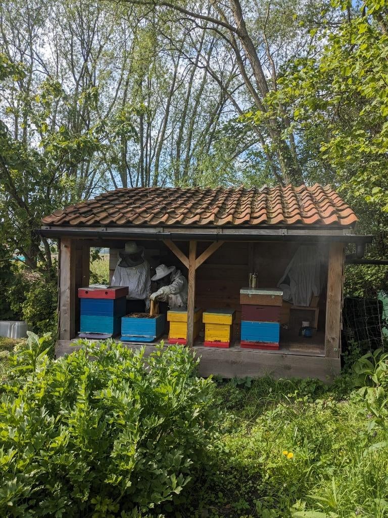 Bijenvolken, Abeilles