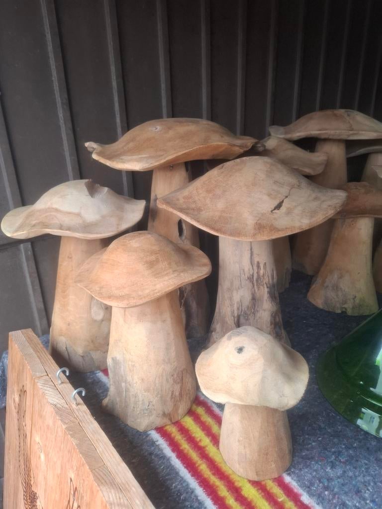 Teak houten paddestoelen set 5 stuks! Knappe tuindecoratie, Tuin en Terras, Ophalen