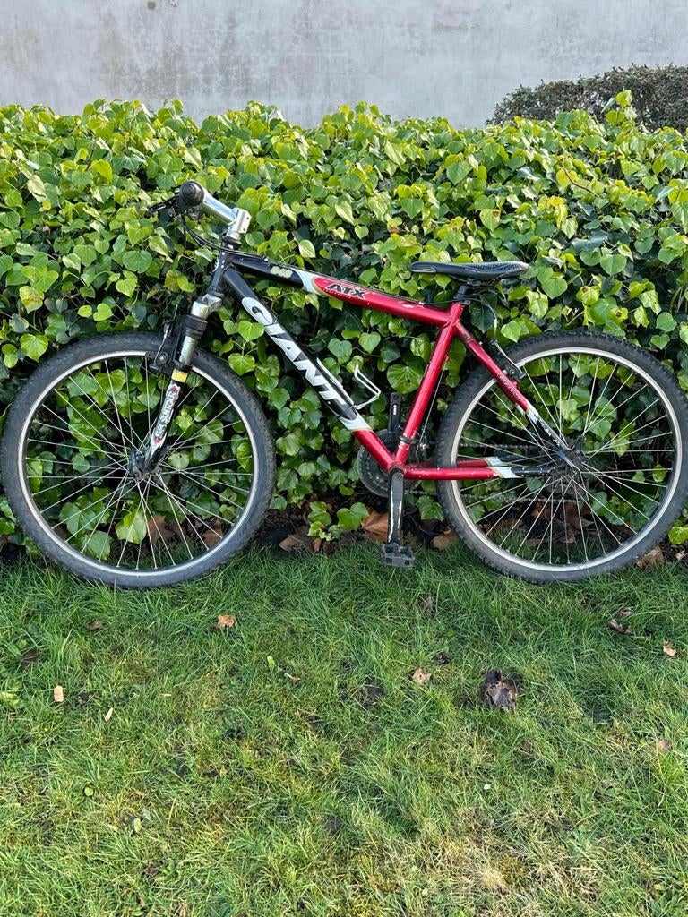 Maar 50€ WEES SNEL, Vélos & Vélomoteurs, Vélos | VTT & Mountainbikes, Giant, Enlèvement, Hommes, Utilisé