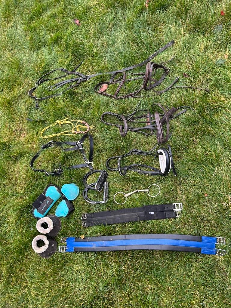 Paardengerief, Dieren en Toebehoren, Ophalen, Gebruikt