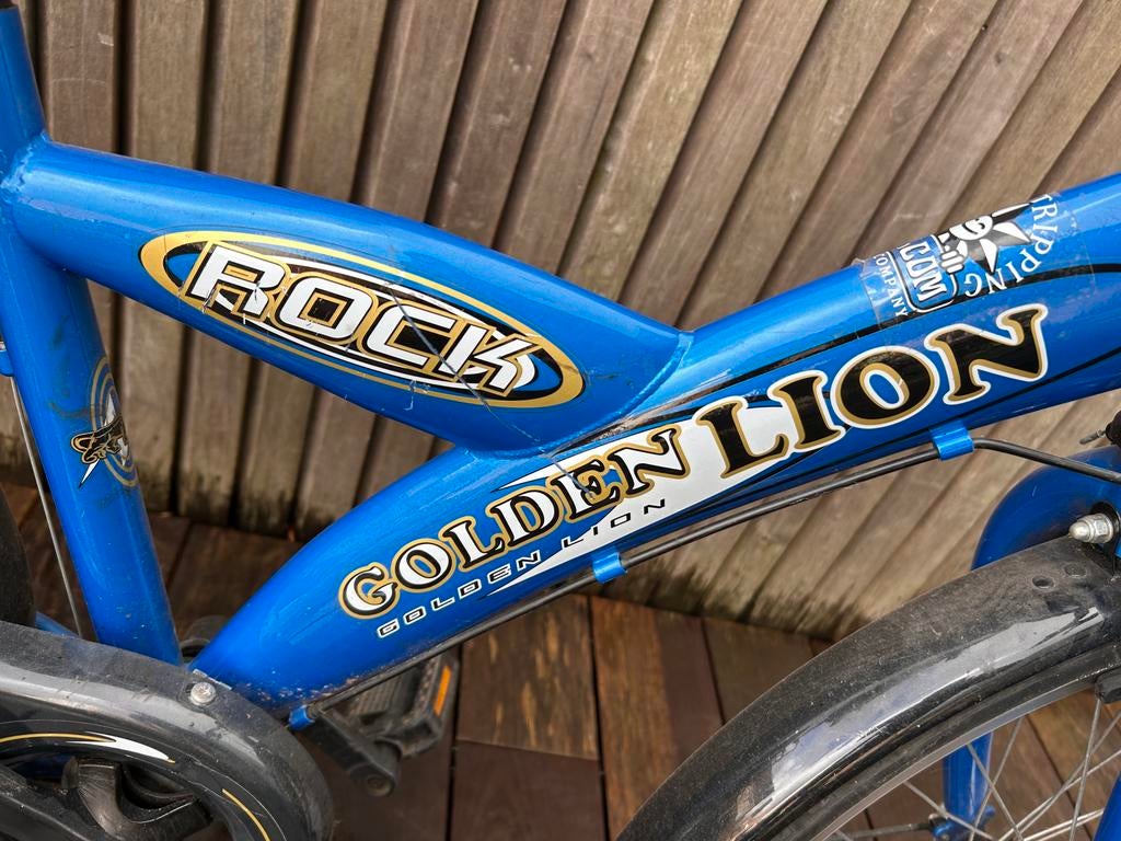 Kinderfiets Golden Lion, Enlèvement, Utilisé, 16 à 20 pouces