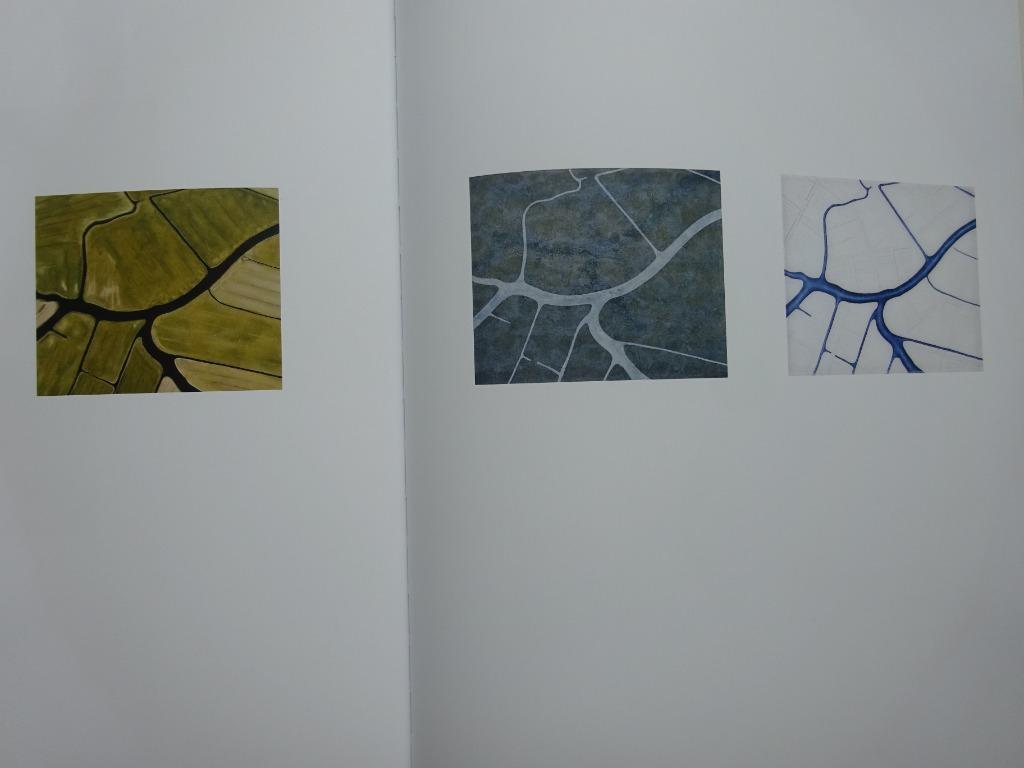 Joost Colpaert, 2009, over  oude rivieren en nieuwe sporen,, Enlèvement ou Envoi, Comme neuf, Peinture et dessin