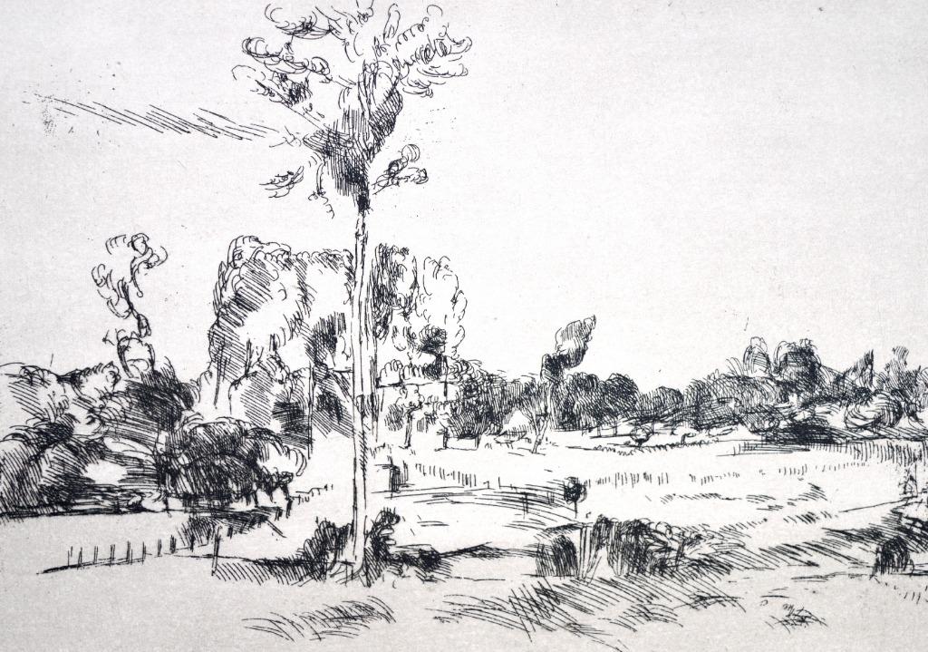 Jacques Muller - Ets - "Près de Hal' - Afdruk 3/25, Antiek en Kunst, Ophalen of Verzenden