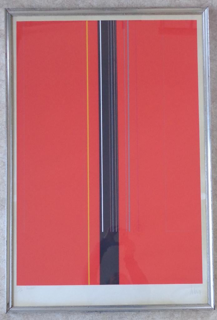 LUC PEIRE / ROSTEL / KLEURZEEFDRUK / 114x77cm / KADER / SIG, Antiek en Kunst, Ophalen