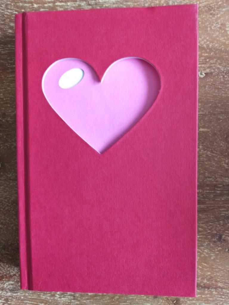 Passie en Romantiek, Ophalen of Verzenden, Nieuw, Ilse Nackaerts