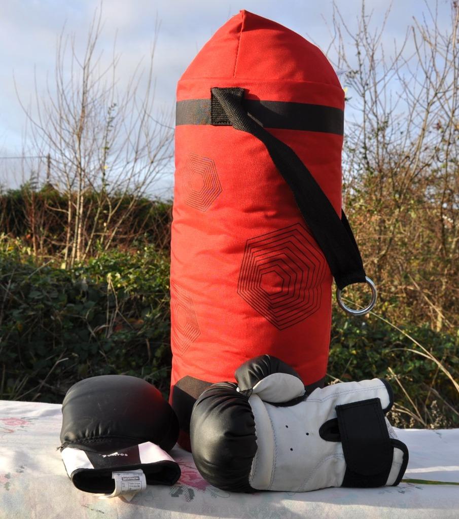 sac de frappe et gants de boxe pour jeune ado, Enlèvement ou Envoi, Neuf, Accessoire de boxe