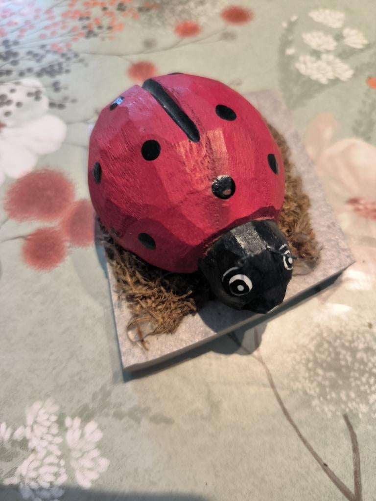 Lievenheersbeestje, Ophalen