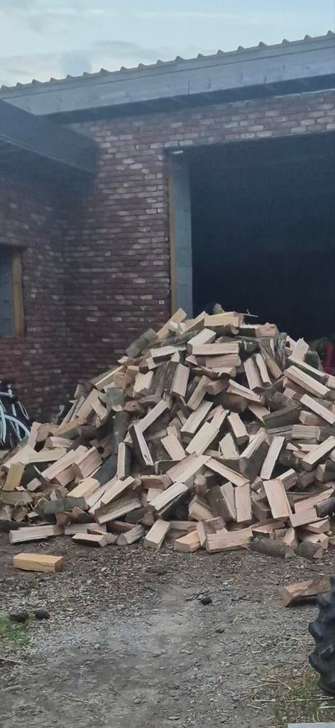 Brandhout beuk, Tuin en Terras, Brandhout, Ophalen of Verzenden, Beukenhout