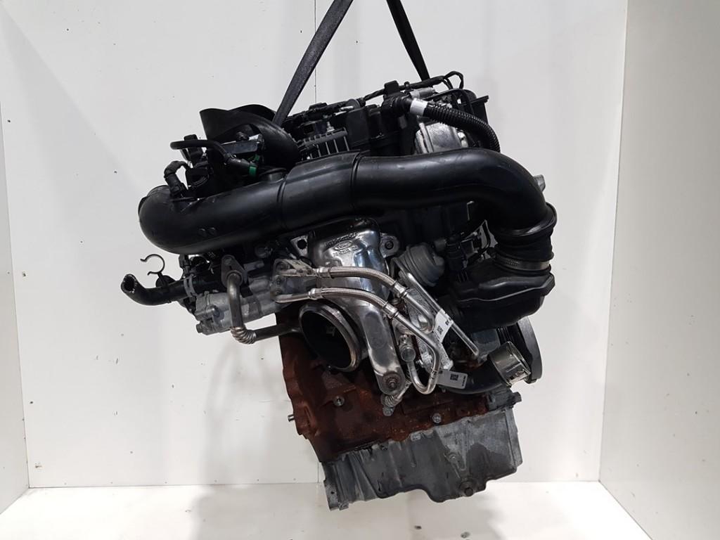 MOTEUR Ford Puma (|2665303|N1BG6006TA|2521465|N1BG6006JA|), Dhr. J. Ham, Administratie@autoham.nl, Nijkerkerstraat 27a 27a
3821 CD  AMERSFOORT, NL