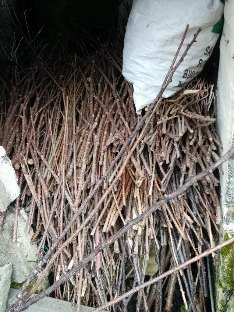 À donner : branches et tiges d'arbre pour déco., Bricolage & Construction, Bricolage & Rénovation Autre, Enlèvement, Utilisé