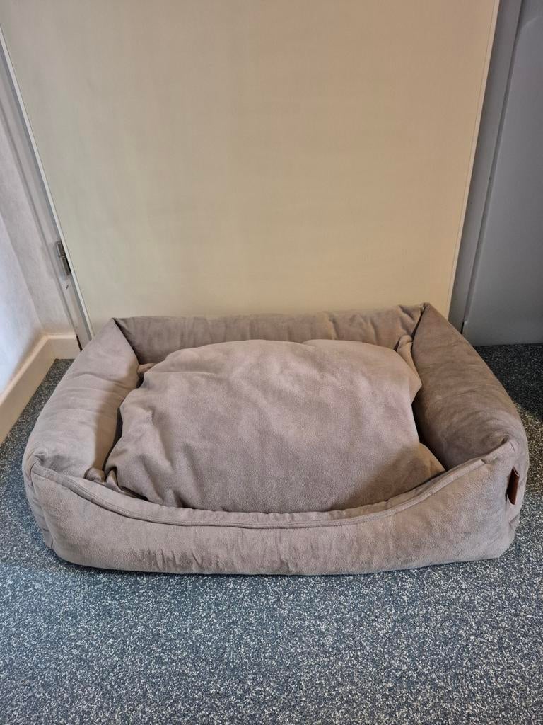 Hondenmand., Dieren en Toebehoren, Ophalen