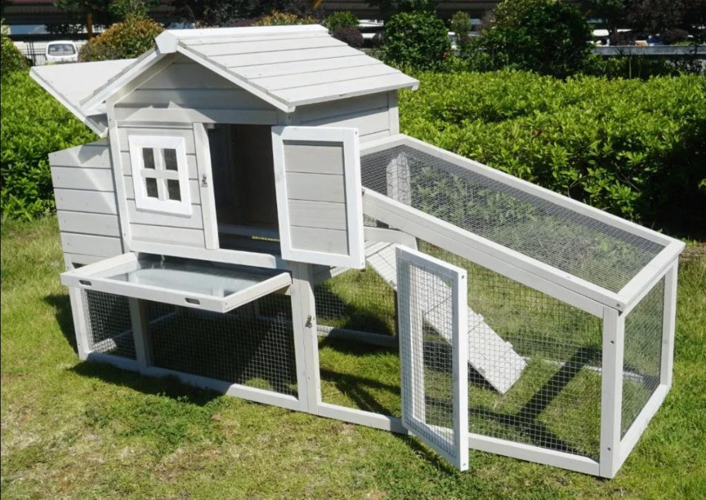 Kippenhok met ren Araucana