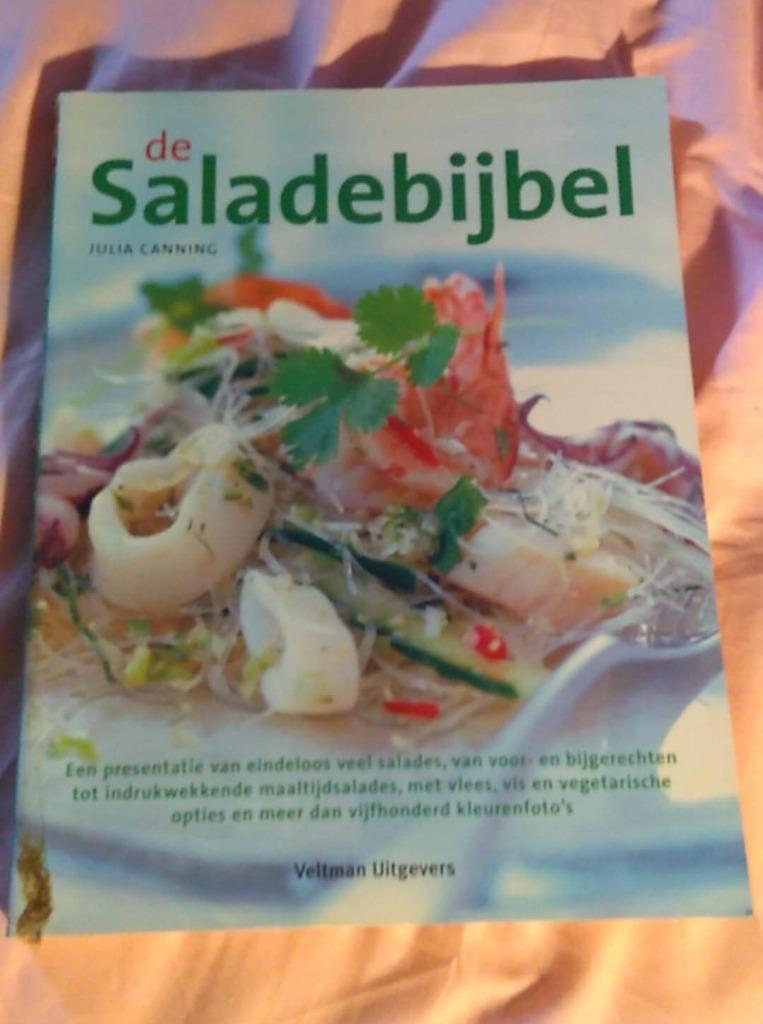 de salade bijbel  Julia Canning, Boeken, Kookboeken, Ophalen of Verzenden, Julia Canning