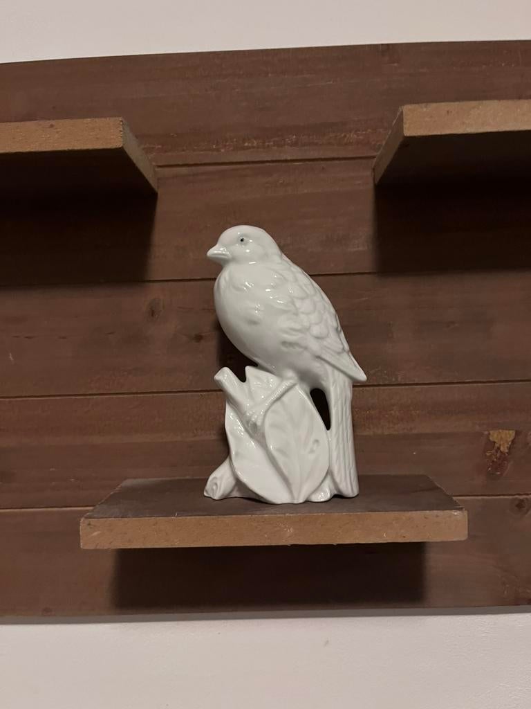 Porcelaine vogelje, Ophalen