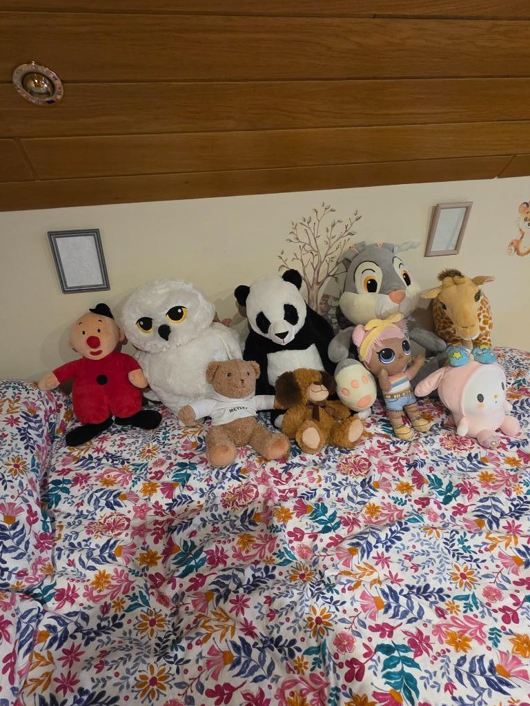 PLUCHEN DIEREN VERZAMELING NIEUW, Ophalen, Zo goed als nieuw, Overige typen