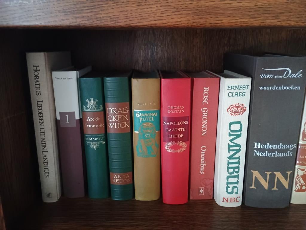 Vijftigtal boeken, van romans tot encyclopedie, Ophalen of Verzenden