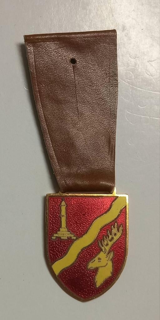 Cintre à poitrine - Breloque - Insignia - Plaque d'immatricu, Collections, Enlèvement ou Envoi