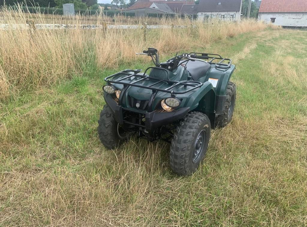 Yamaha bruin 350, 350 cm³