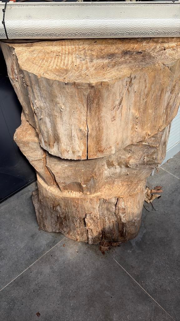 Boomstronken om te nagelen, Ophalen, Eikenhout, Stammen