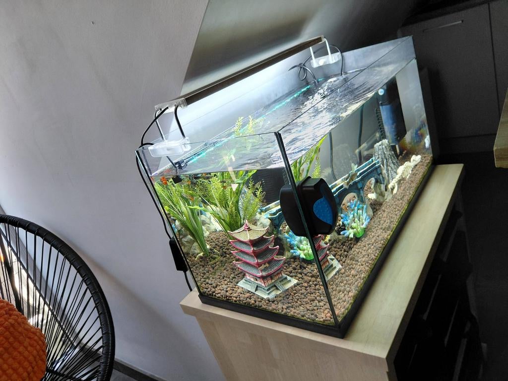 Aquarium, Enlèvement ou Envoi